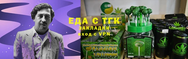 твердый Новодвинск