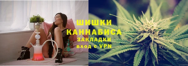 твердый Новодвинск