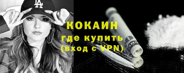 дживик Няндома