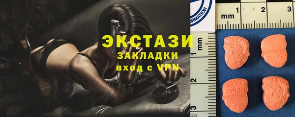 твердый Новодвинск