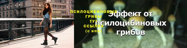ешки Нефтегорск