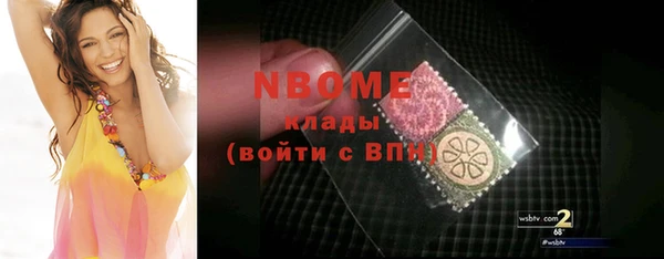 дживик Няндома