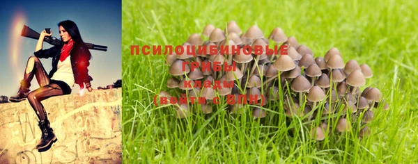 мескалин Новозыбков