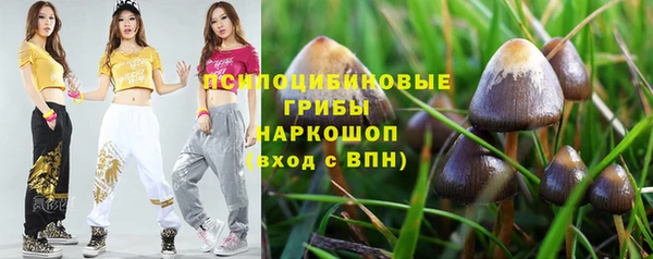 бошки Пролетарск